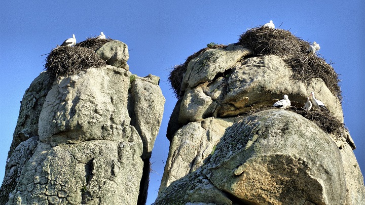 Monumento Natural los Barruecos1