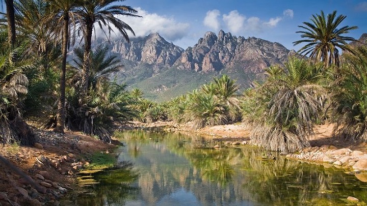 Socotra Yemen