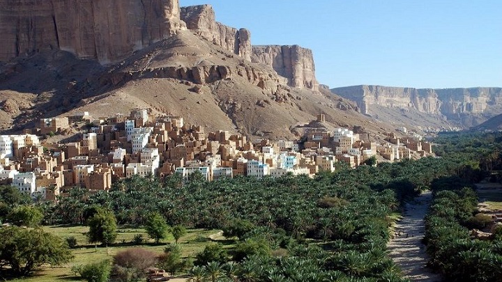 Socotra Yemen4