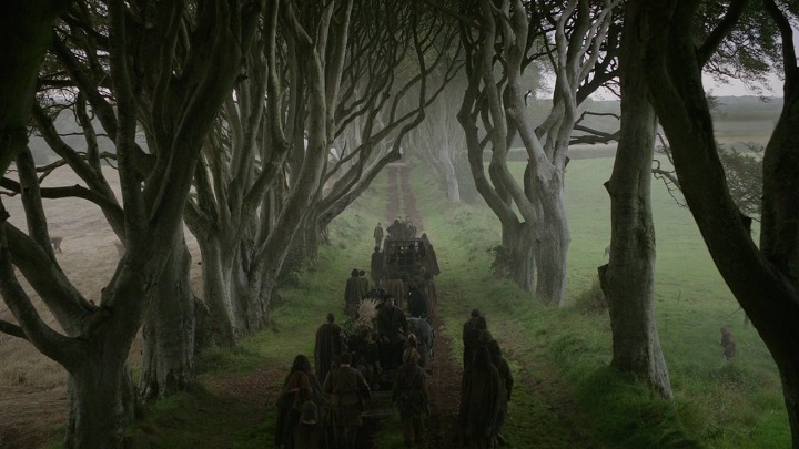 The Dark Hedges