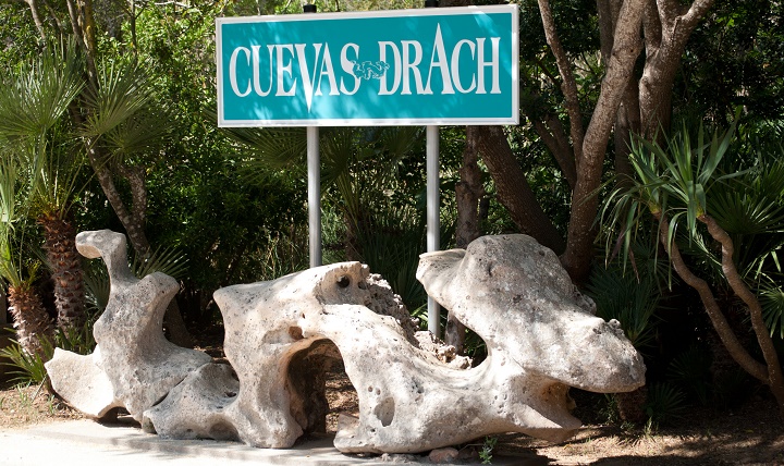 Cuevas Drach