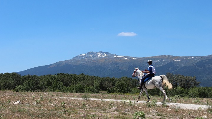 Parque Nacional Sierra de Guadarrama3