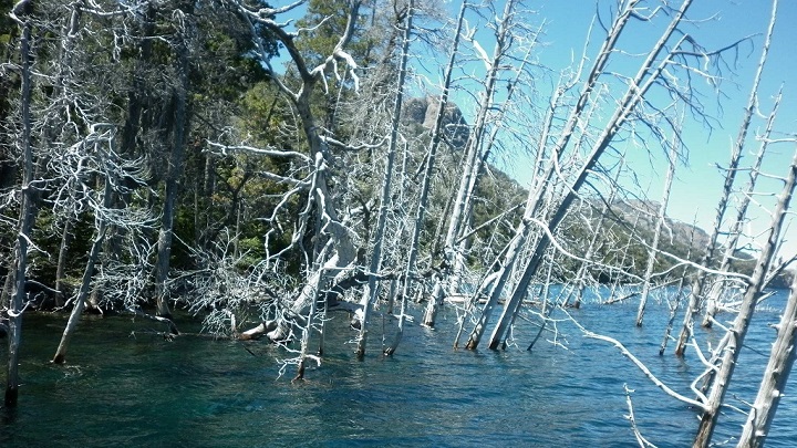 villa traful patagonia