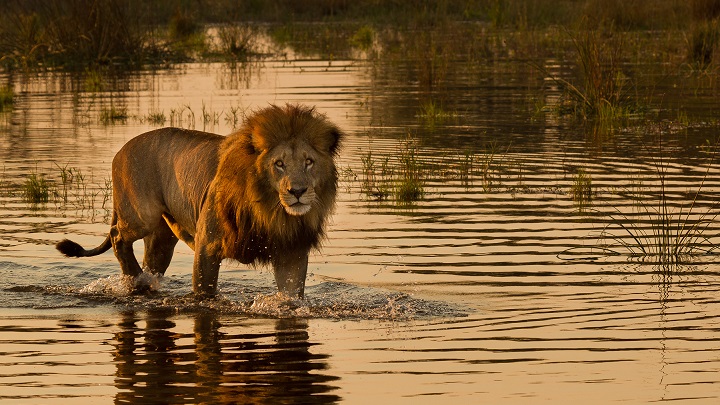 Botswana1