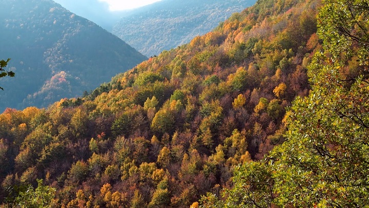 La Pardina del Senor Huesca1