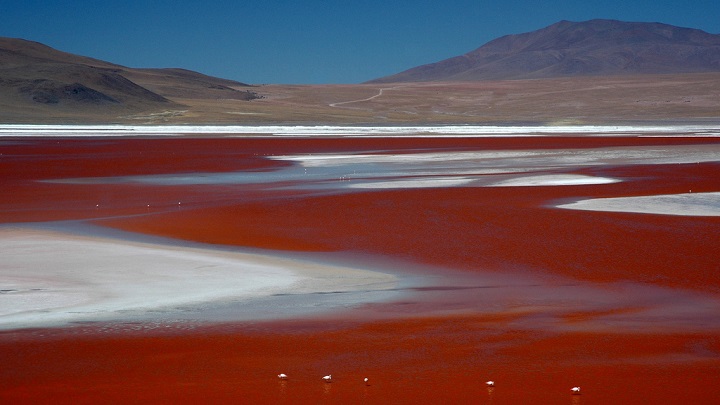 Laguna Colorada Bolivia2
