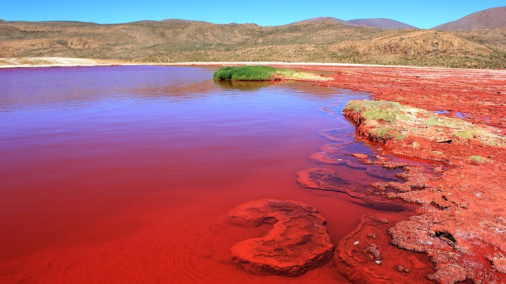 Laguna Roja