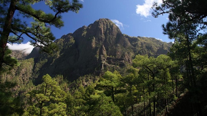 Nacientes de Marcos y Cordero La Palma2