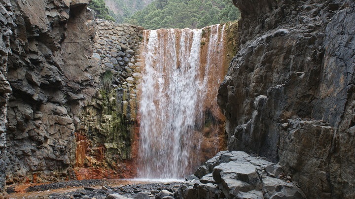 Nacientes de Marcos y Cordero La Palma3