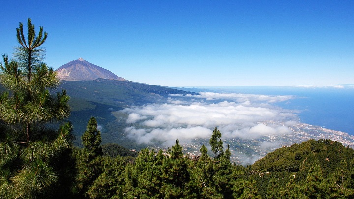 Tenerife