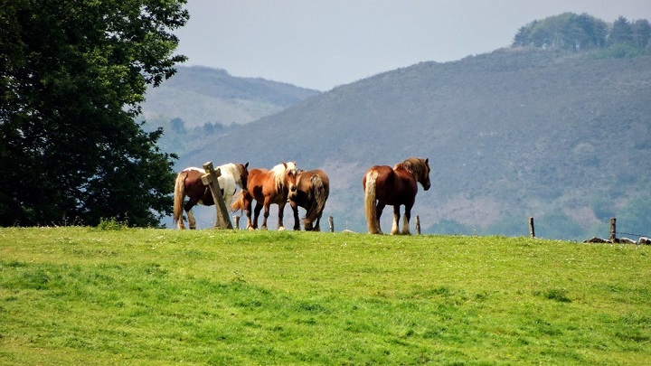 Valle de Baztan Navarra1