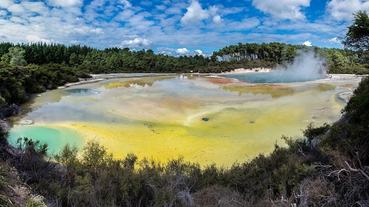 Champagne Pool nueva zelanda2