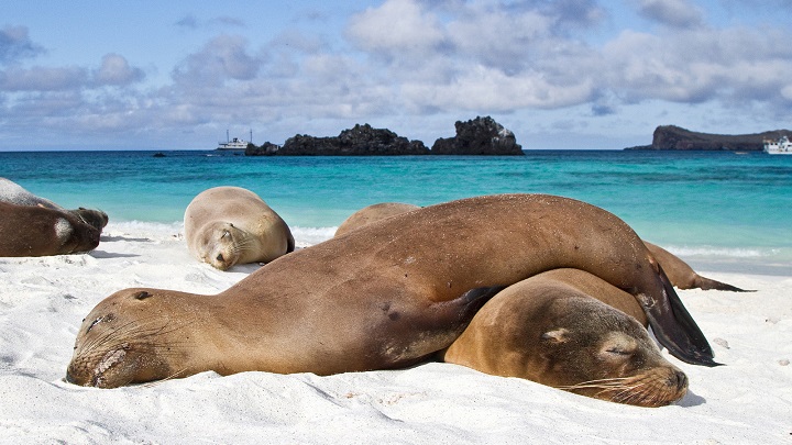 Islas Galapagos1