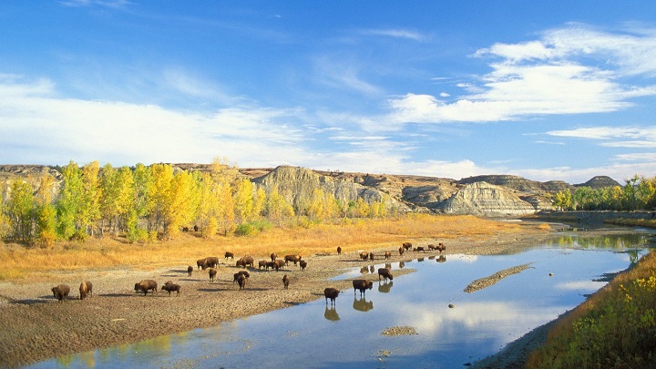 Theodore Roosevelt National Park