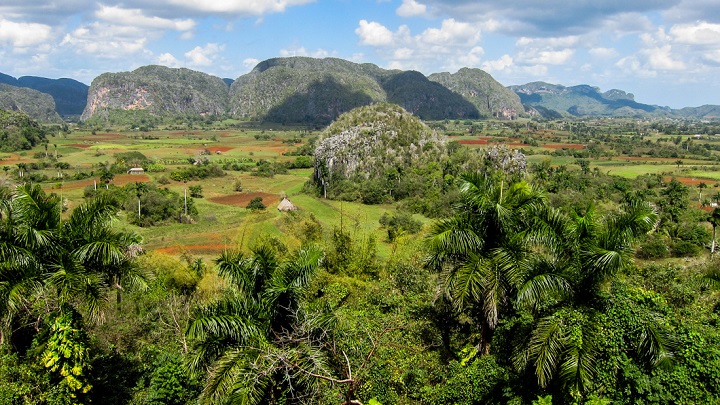 Vinales