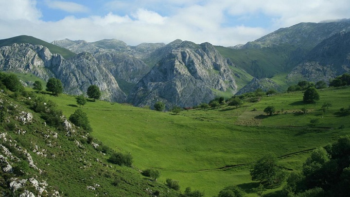 Cabrales