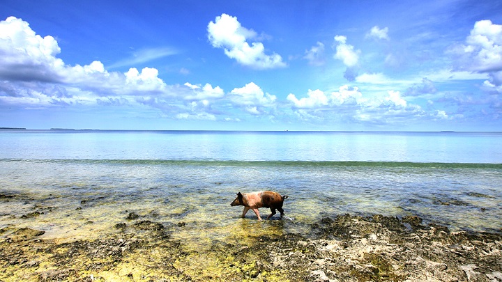 Tuvalu