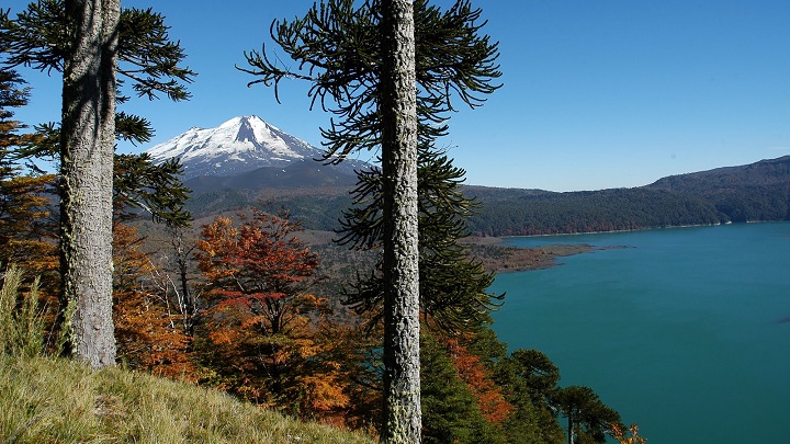 Parque Nacional Conguillio