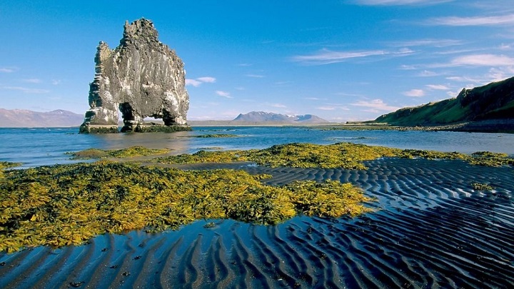 Hvitserkur