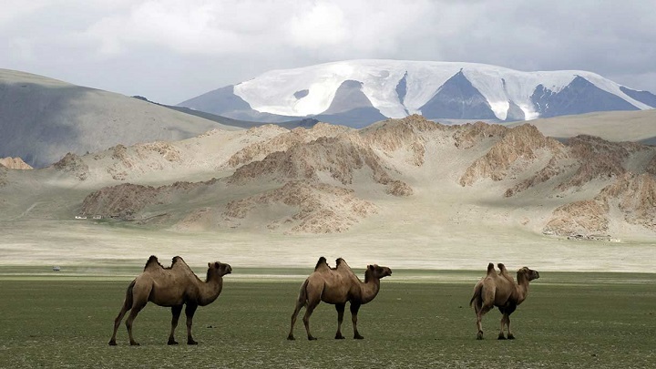 Mongolia