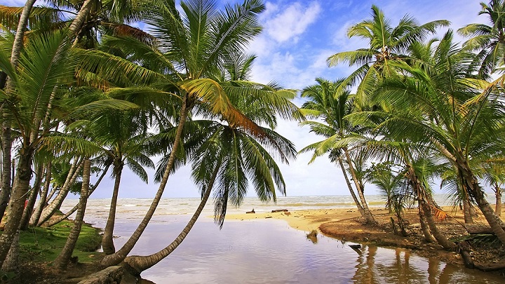 Republica Dominicana1