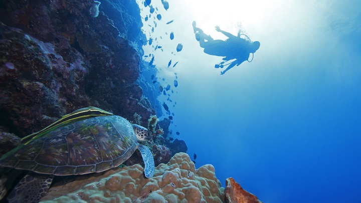 Islas Galapagos