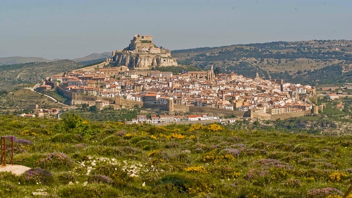 Morella