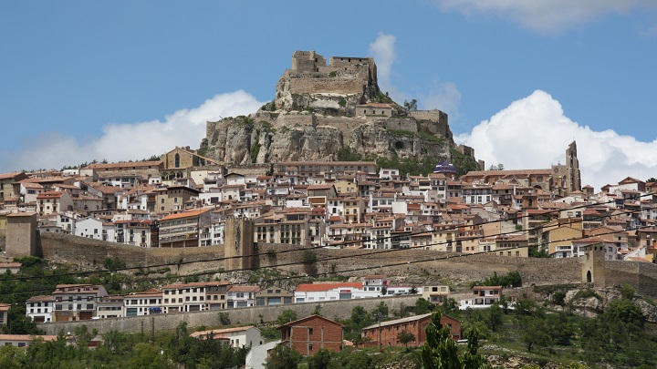 Morella