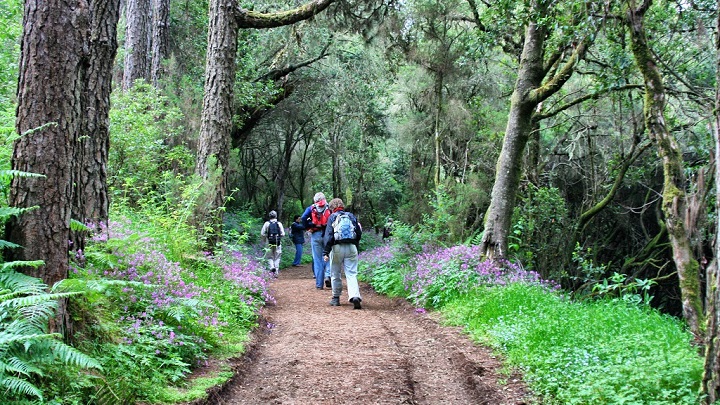 isla la gomera3