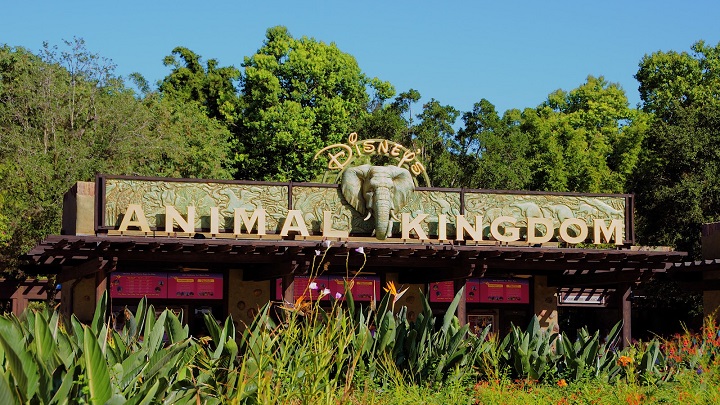 Animal Kingdom