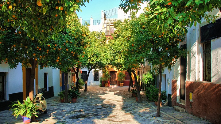 Barrio de Santa Cruz