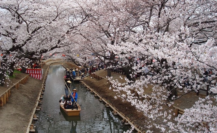 Kawagoe