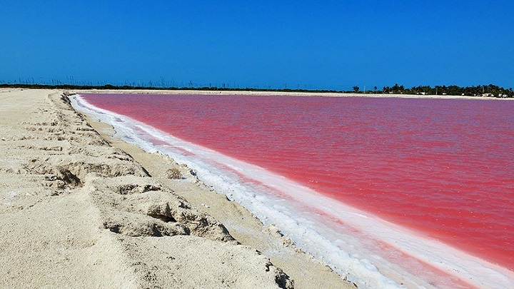 Laguna Rosa foto1