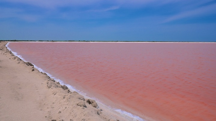 Laguna Rosa foto2