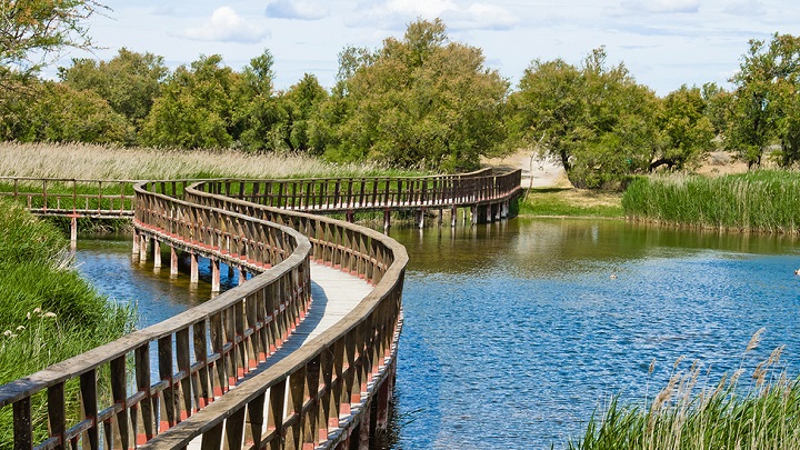 tablas-de-daimiel