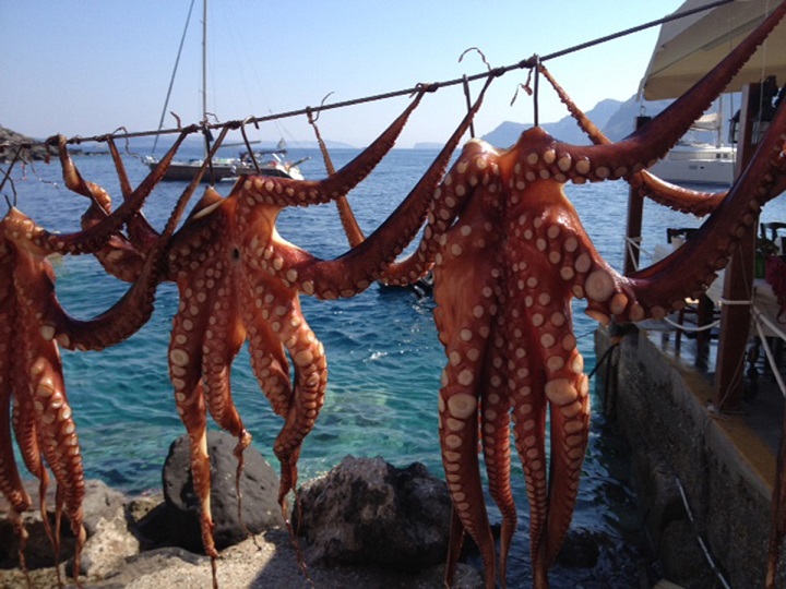 pulpos-colango-en-santorini