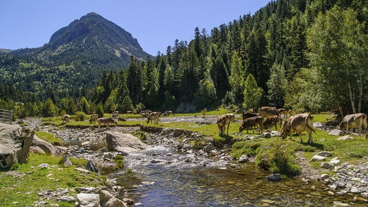 aiguestortes-i-estany-de-sant-maurici-foto2