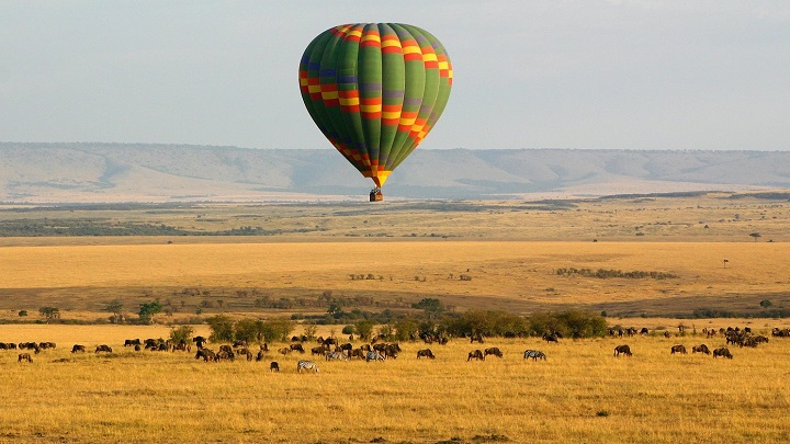 masai-mara