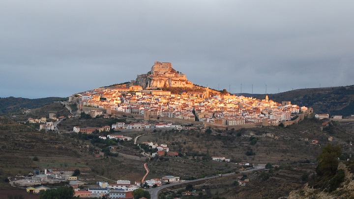 morella