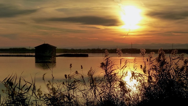 Albufera