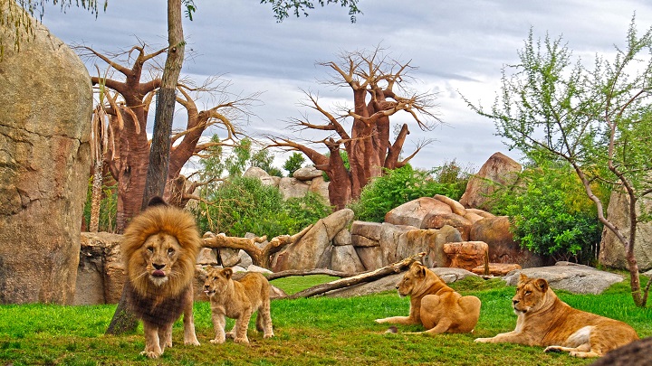 Bioparc