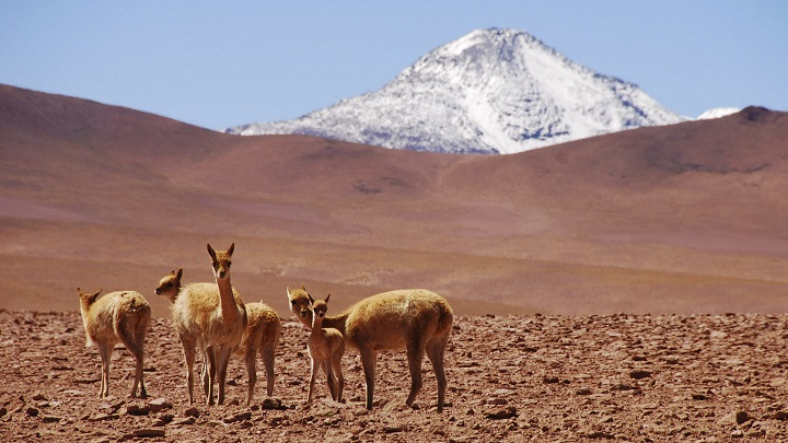 desierto de Atacama