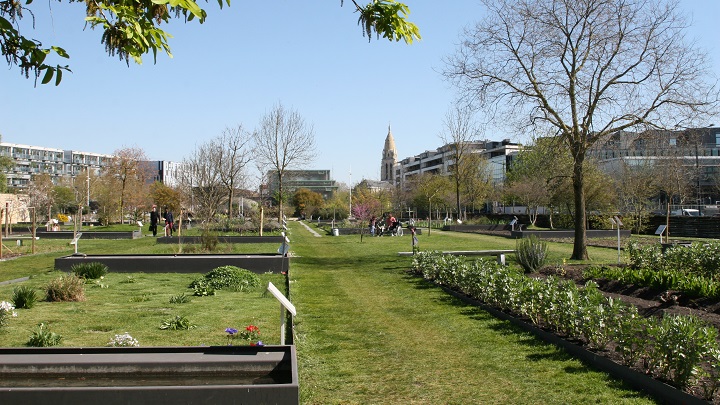 Jardin-Botanico