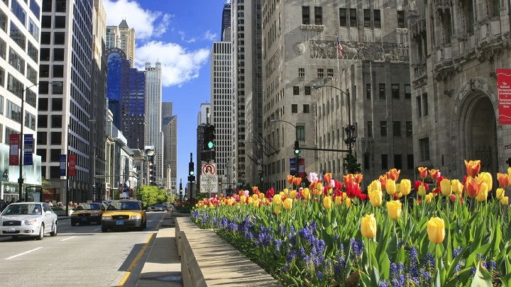 Magnificent-Mile