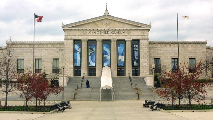 Shedd-Aquarium