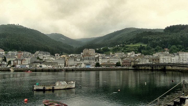 Viveiro1