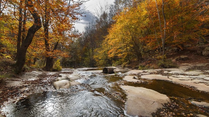 Montseny