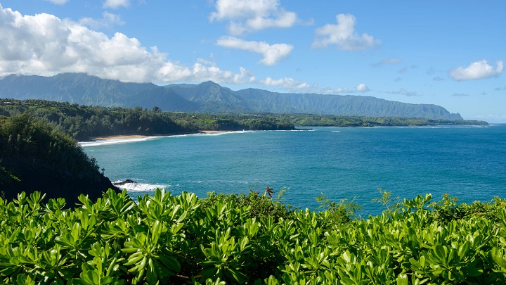 Princeville