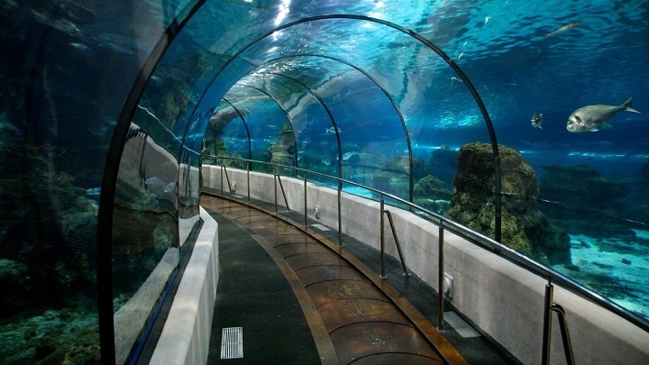 Aquarium