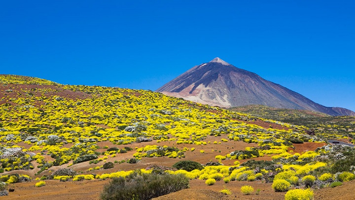 Teide